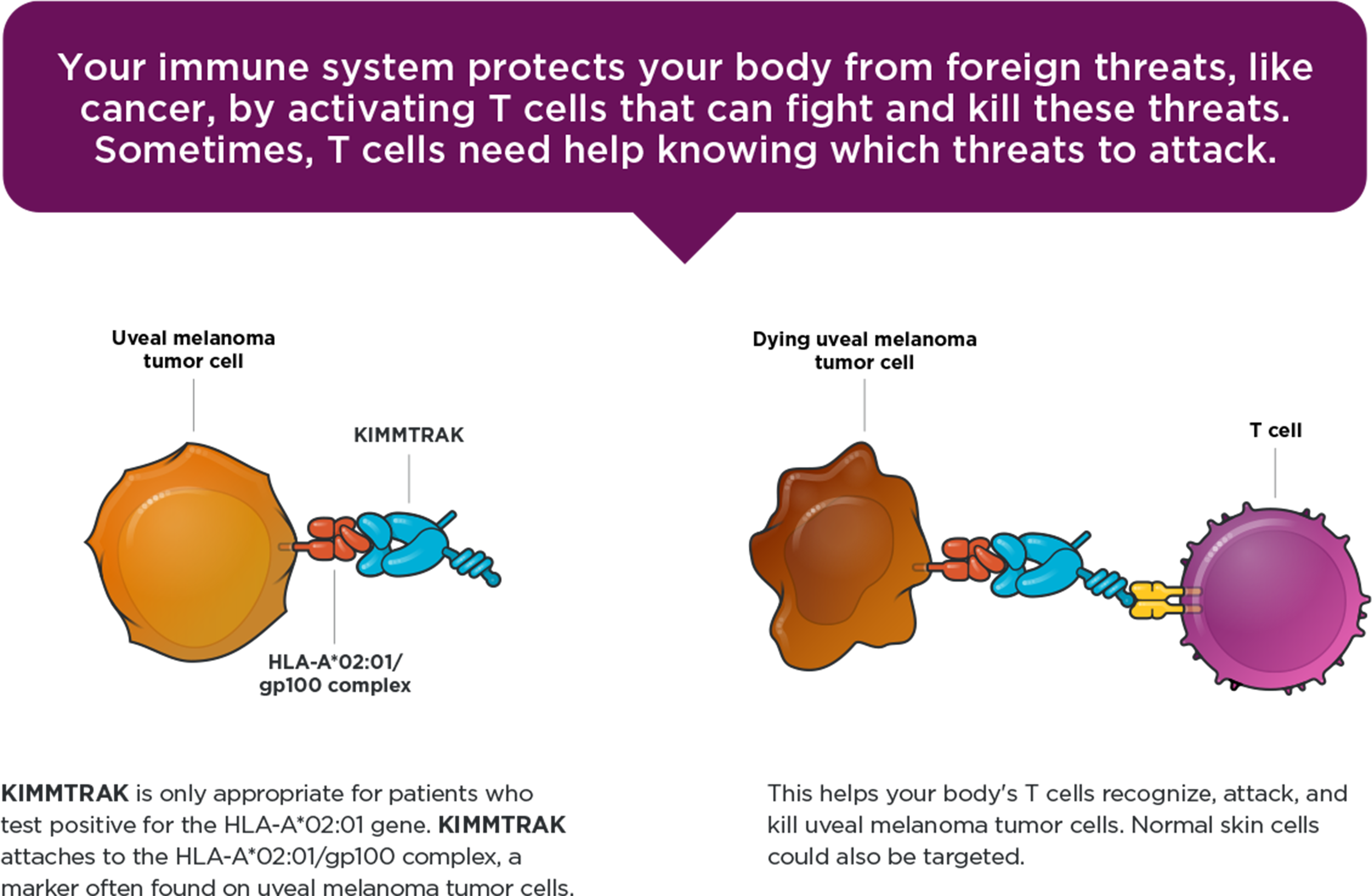 Immune System Defination